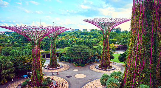 Explore the Wonders of Singapore: A Perfect Blend of Urban Marvels and Green&nbsp;Oasis